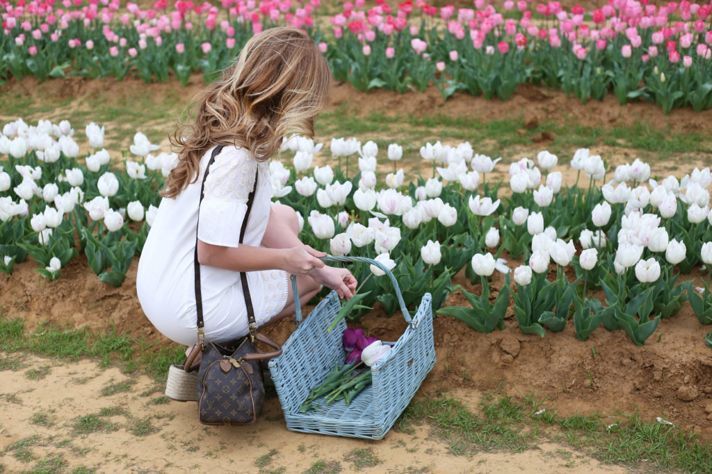 Texas Tulips - A Pearl Kind of Girl
